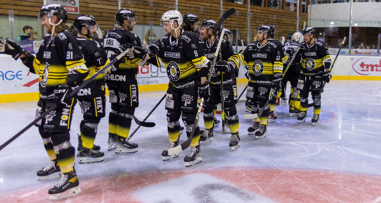 Les Renards de Roanne