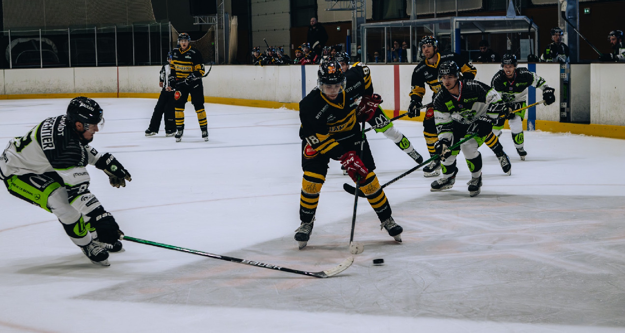 Les Eléphants de Chambéry contre les Wildcats d'Epinal