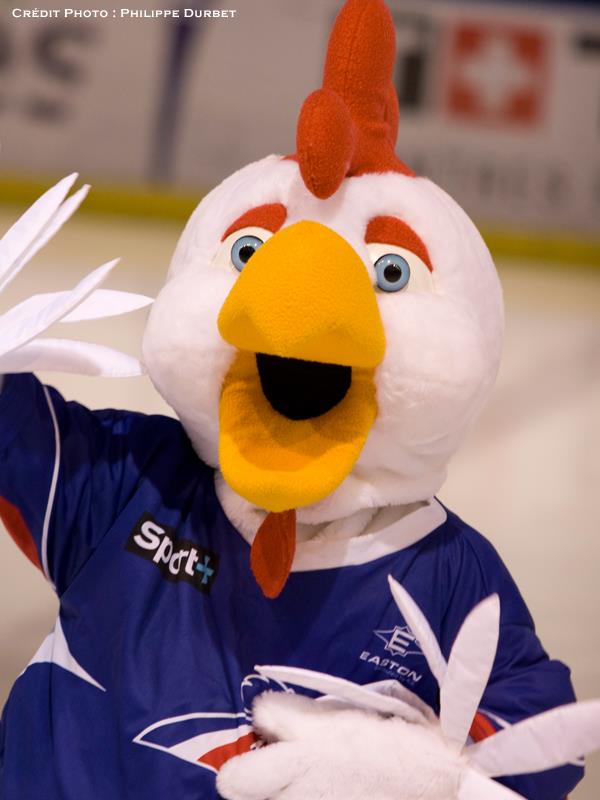 428387_243272815777507_881993361_n