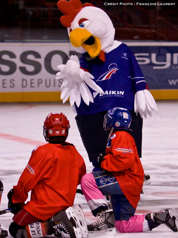 523015_243272755777513_989895070_n