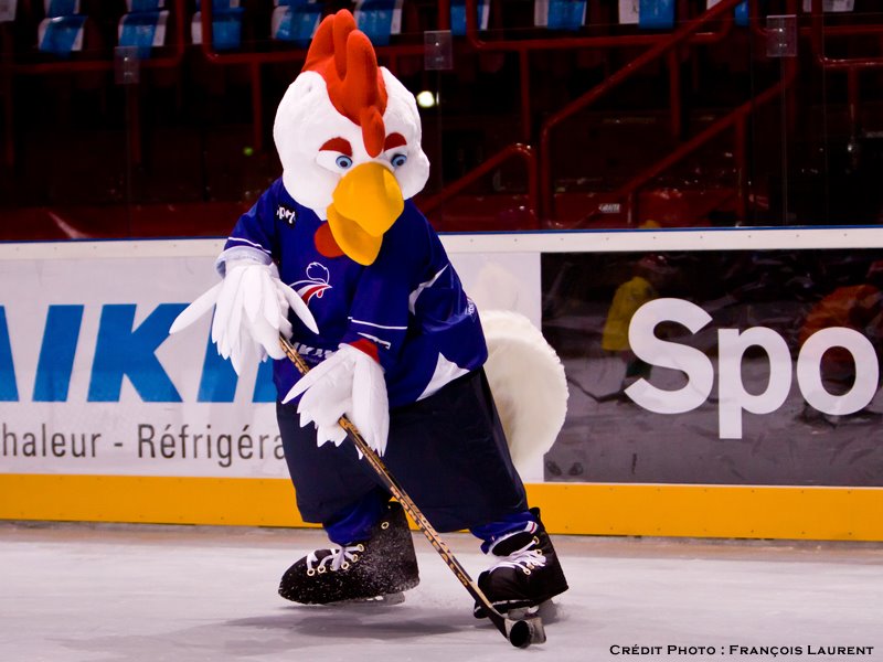 526108_243272785777510_104319062_n