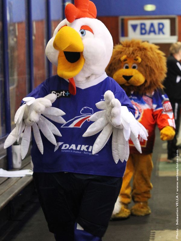 532885_243272939110828_26757416_n