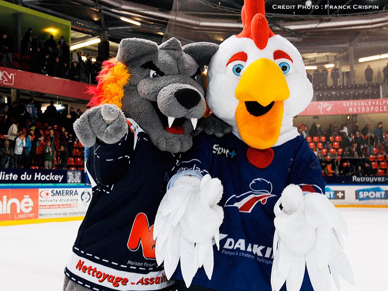 546697_243272909110831_1959154372_n