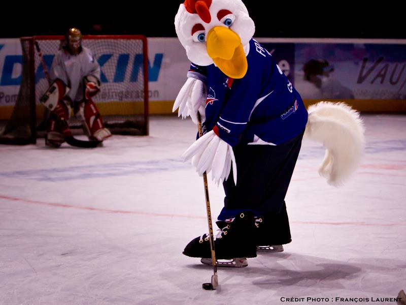 547498_243272762444179_1320824738_n