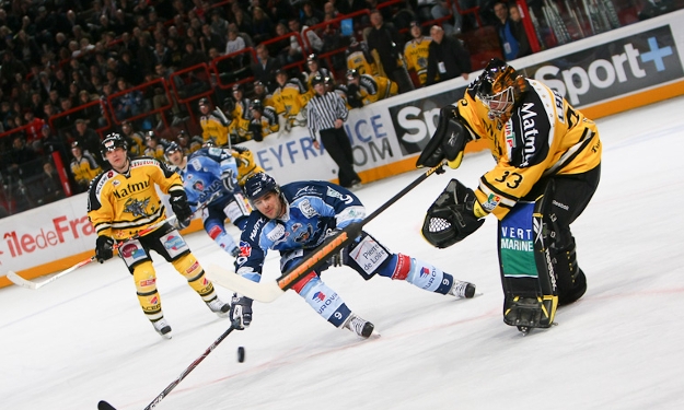 Rouen et Angers se retrouvent de nouveau en Finale de la Coupe de France, comme en 2011. Stéphane Valembois