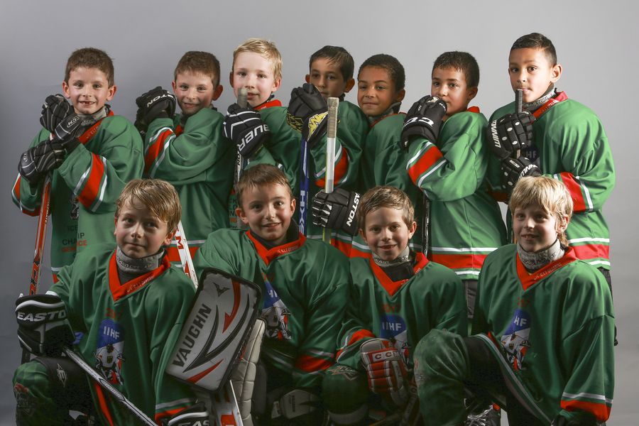 p1a6j4kiv26pm10an1aqc11ht12ql4