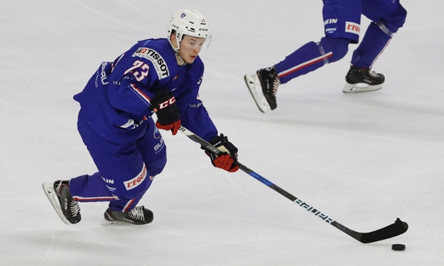 Crédit : Xavier Lainé / FFHG