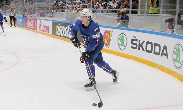 Crédit : Xavier Lainé / FFHG