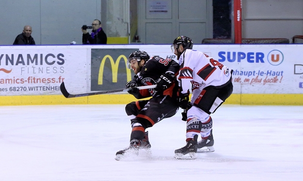 Crédit : scorpionsmulhouse.com
