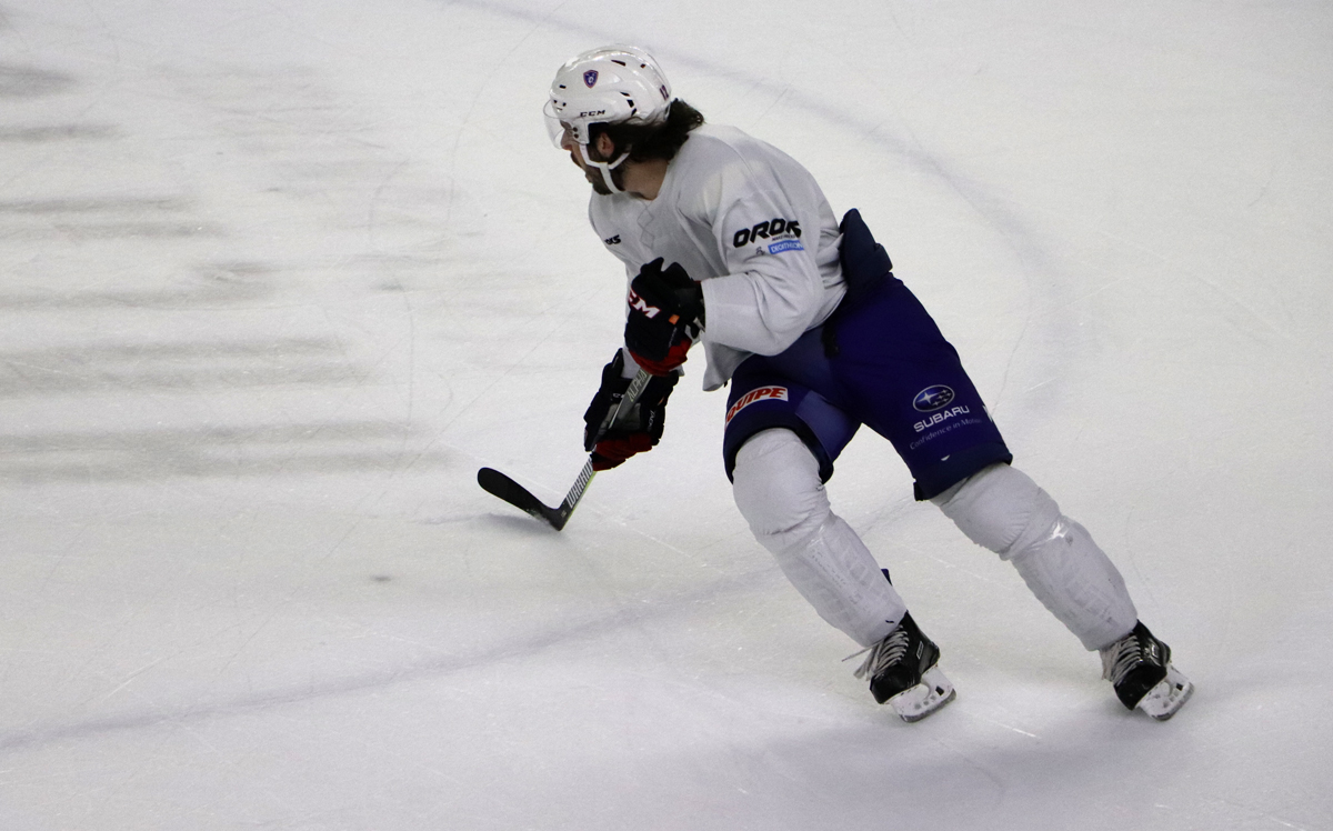 p1d9s3dhsv1c4u1cpl16dp1pnkheek