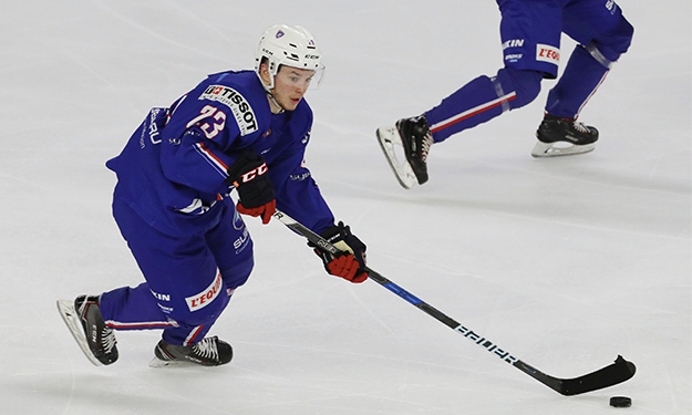 Crédit : Xavier Lainé / FFHG