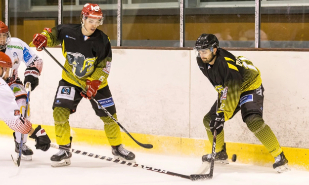Crédit : Éléphants de Chambéry