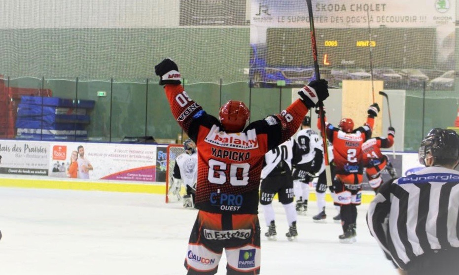 Crédit : Dogs de Cholet