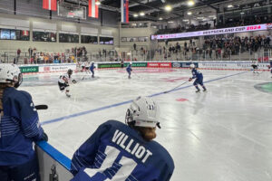 EDF FEM